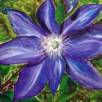 Clematis-Blüte