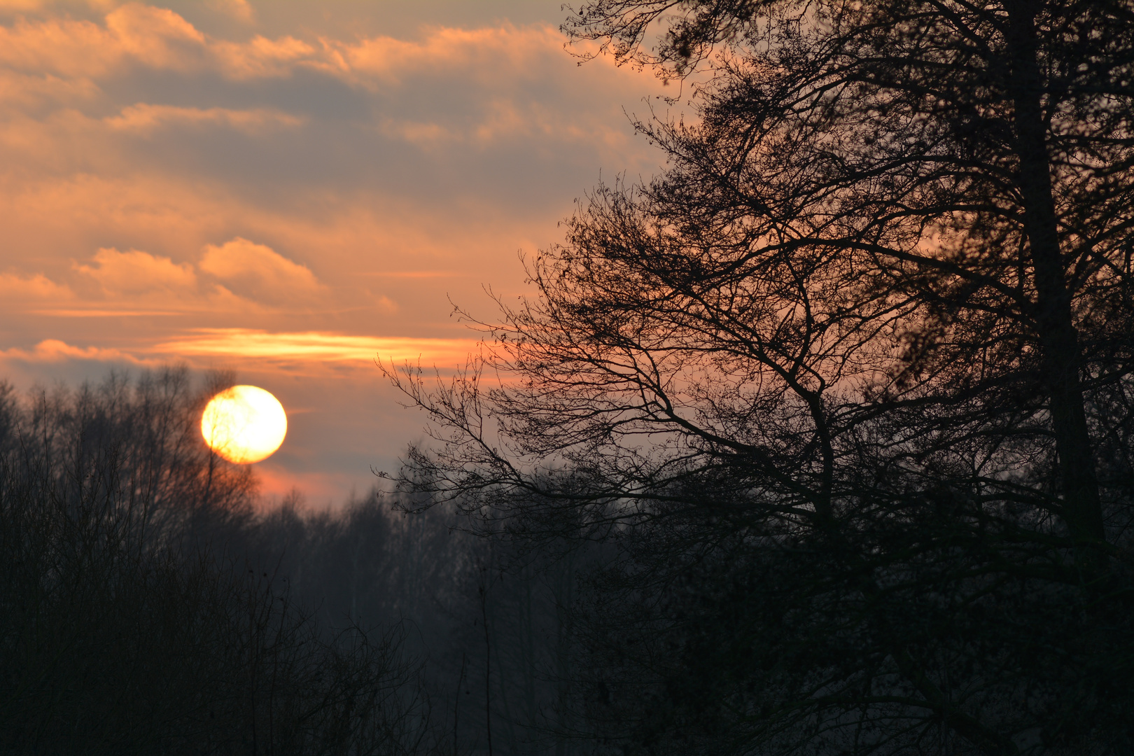 Clenze im Wendland vorweihnachtliche Abendstimmung