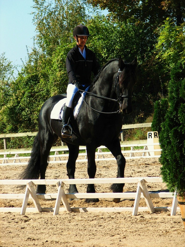 Cléo Omphalius sur son magnifique frison, Sjirk.