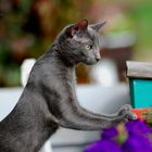 Cleo und der erste Blick vom Balkon