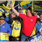 Clermont rugby fans 11 in newcastle