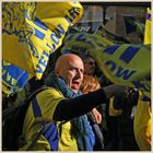 Clermont rugby fans 31 in newcastle