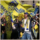 Clermont rugby fans 33 in newcastle