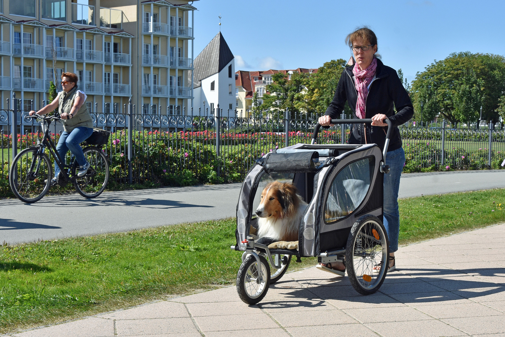 Cleverer Hund!