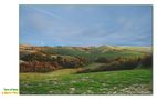 click d'Autunno - Terre di Siena - 21 von Guglielmo Rispoli 