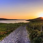 Clifden Castle 