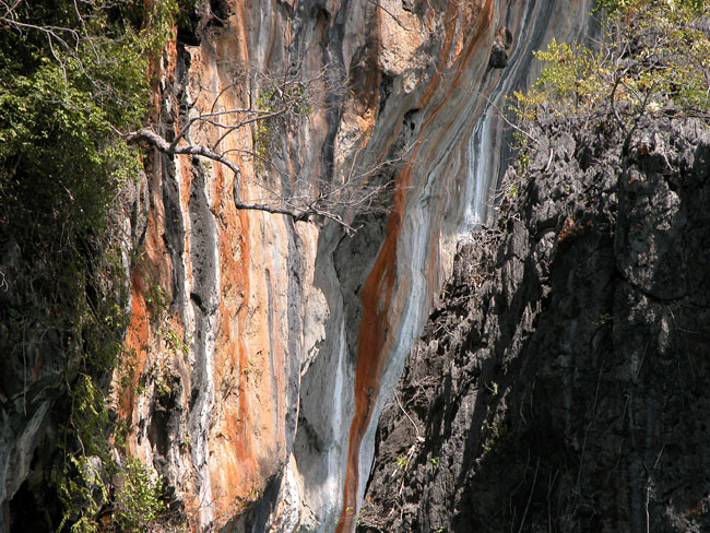 cliff-and-green-in-paradise