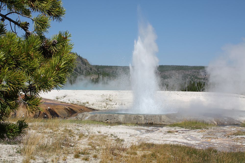 Cliff Geyser im Black Sand Basin...