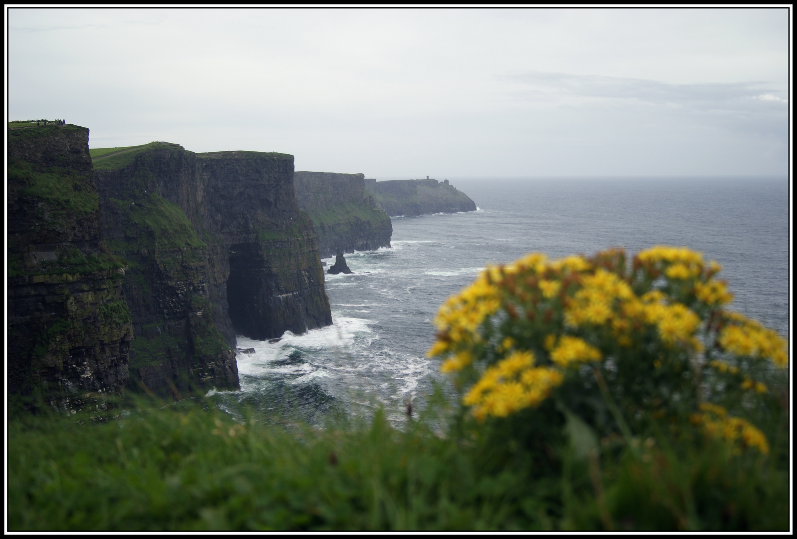 Cliff of Moher