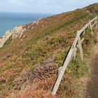 Cliff path, Jersey