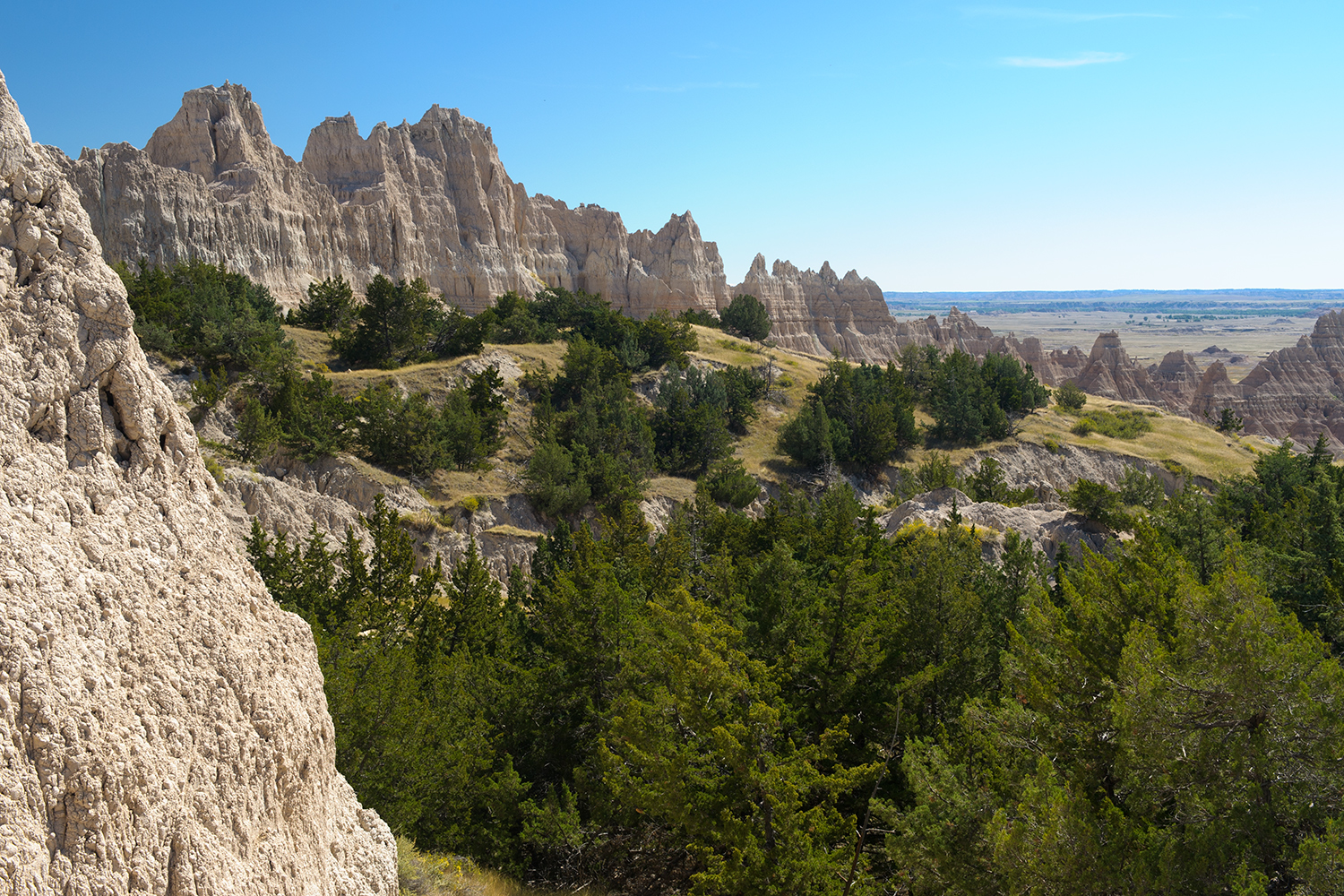 Cliff Shelf Nature Trail