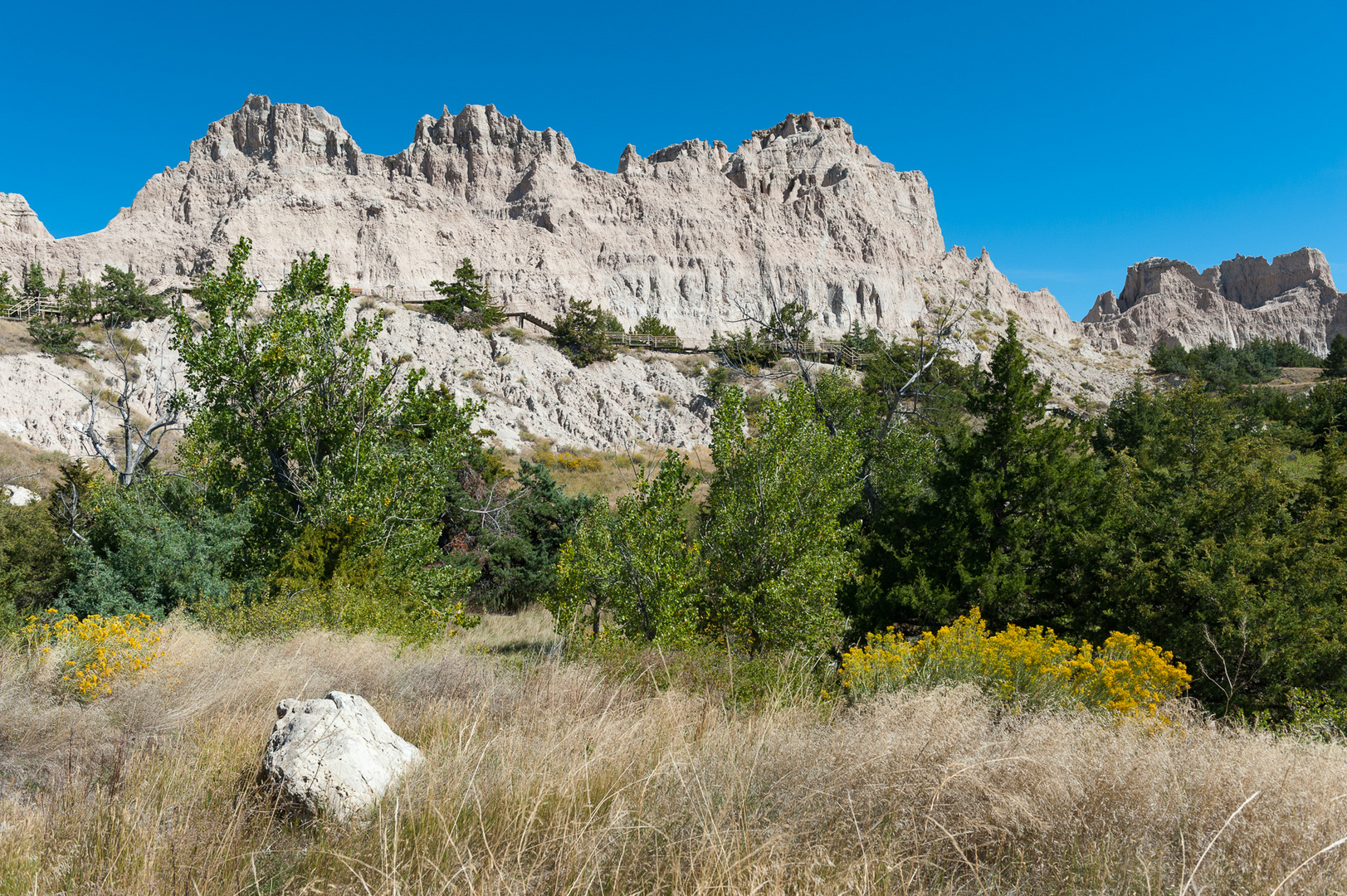 Cliff Shelf Nature Trail