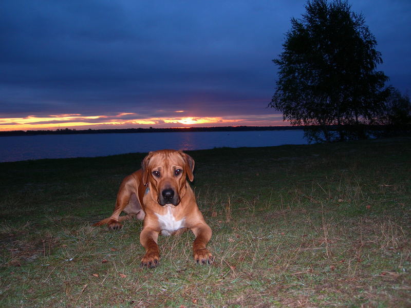 Cliff und sein Sonnenaufgang