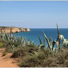 Cliff walk