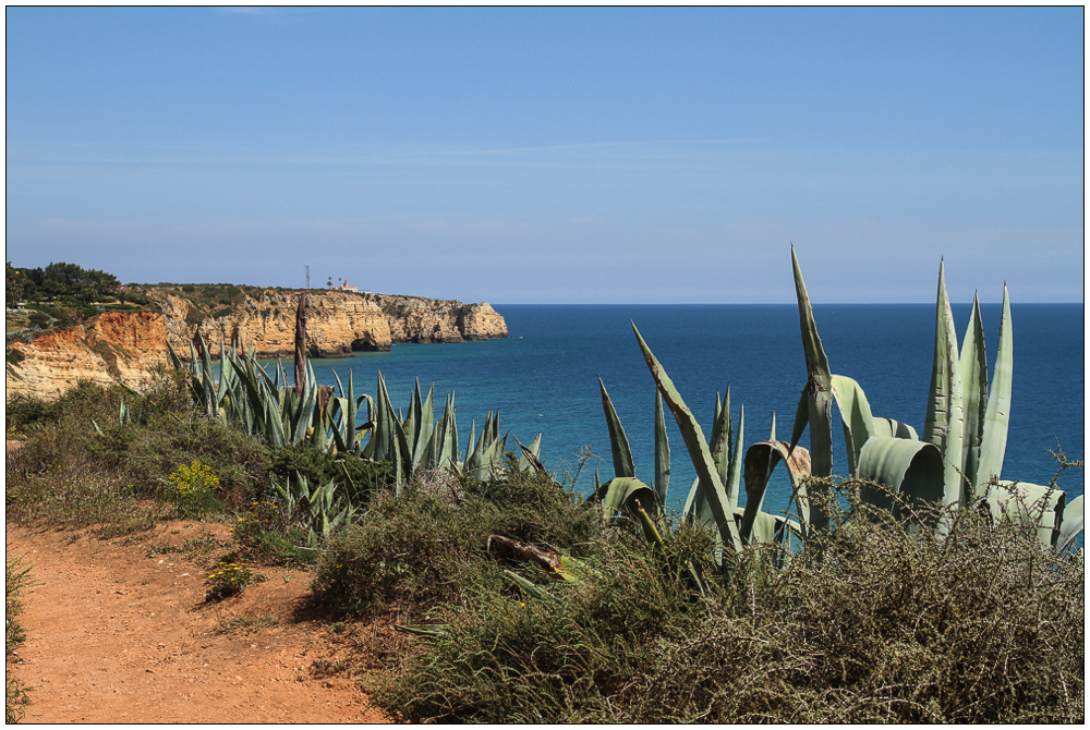 Cliff walk