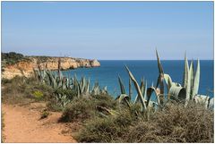 Cliff walk