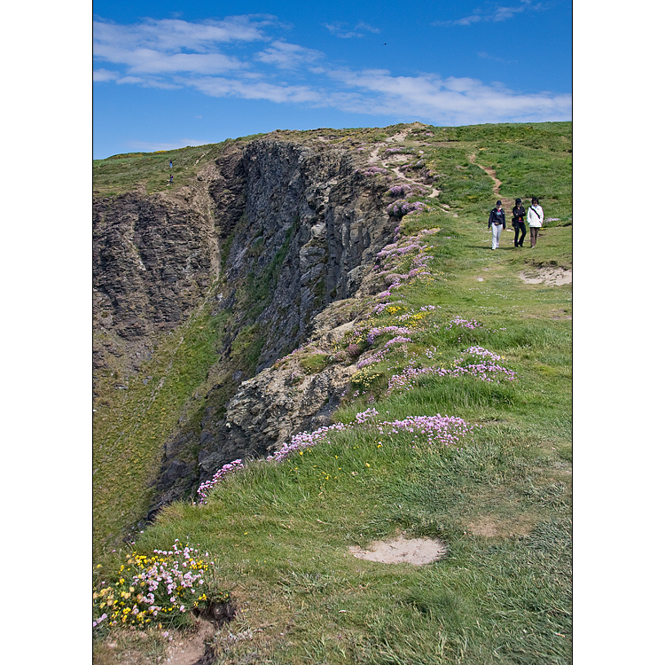 Cliff walk am Old Head