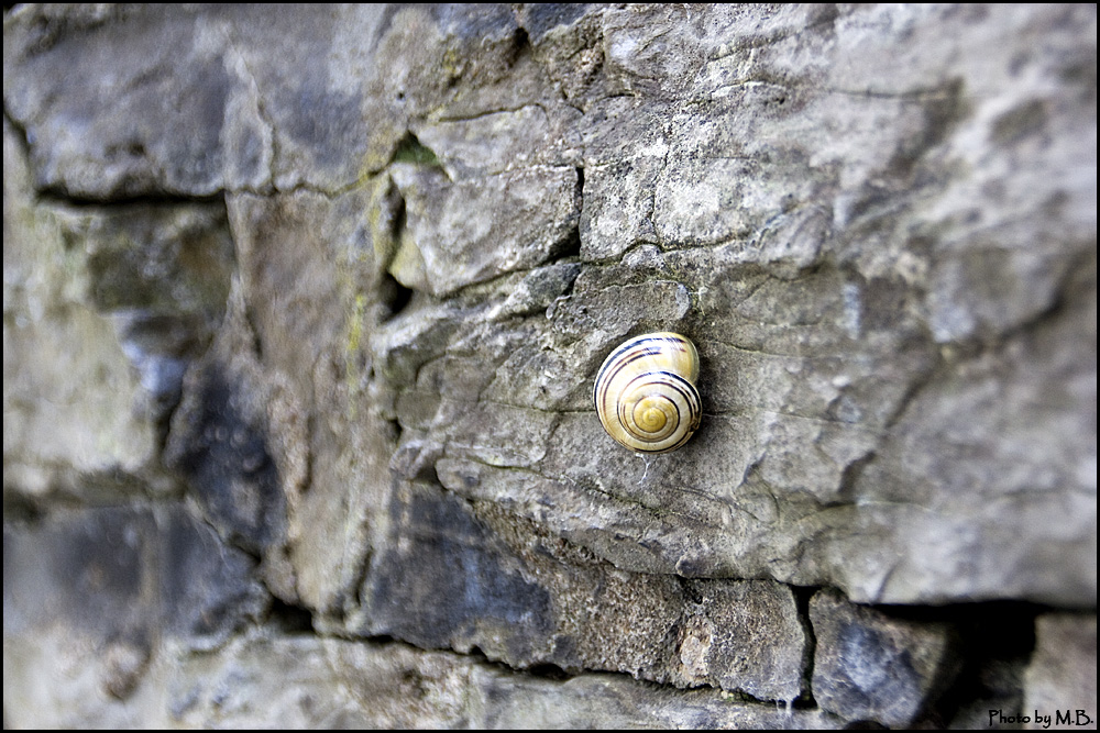 Cliffhanger