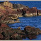 cliffs at horsecastle bay 12