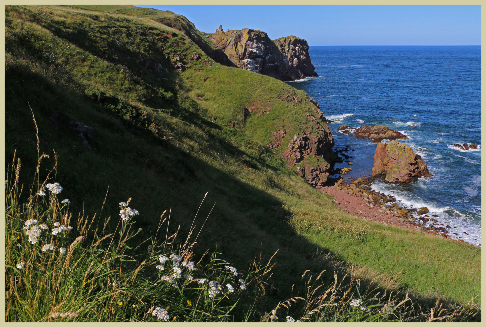 cliffs at st abbs