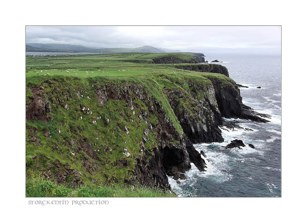 Cliffs @ Dingle Peninsula