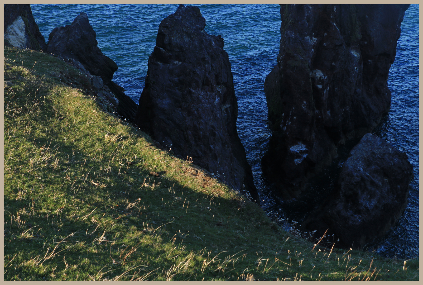 cliffs near st abbs head 11