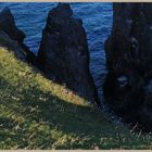 cliffs near st abbs head 11