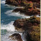 cliffs near st abbs head 17