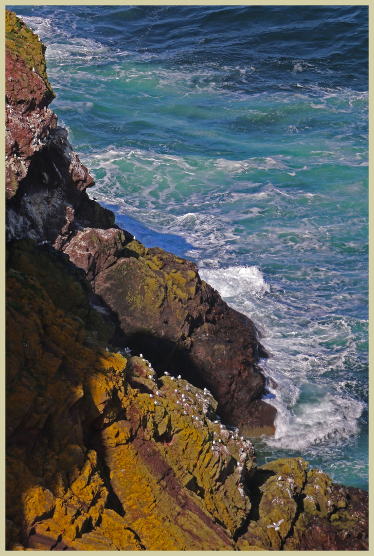 cliffs near st abbs head 18