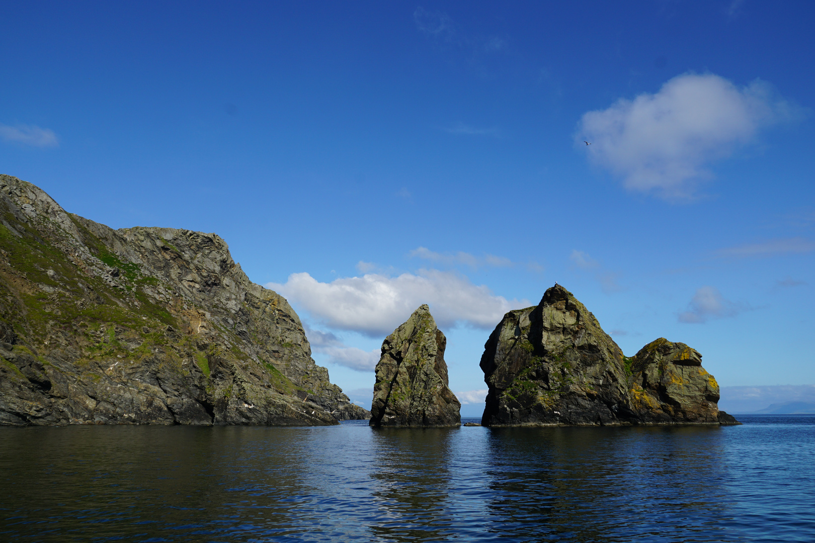 Cliffs of Donegal