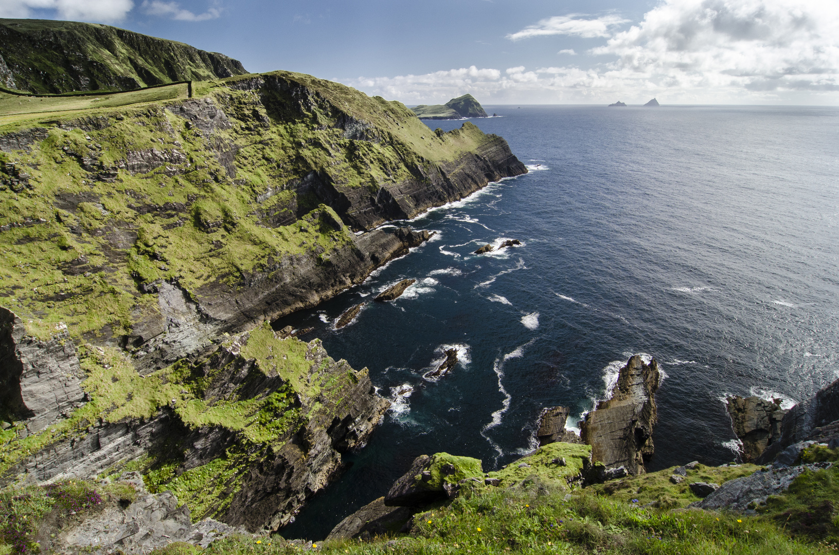 Cliffs of Kerry - Detail