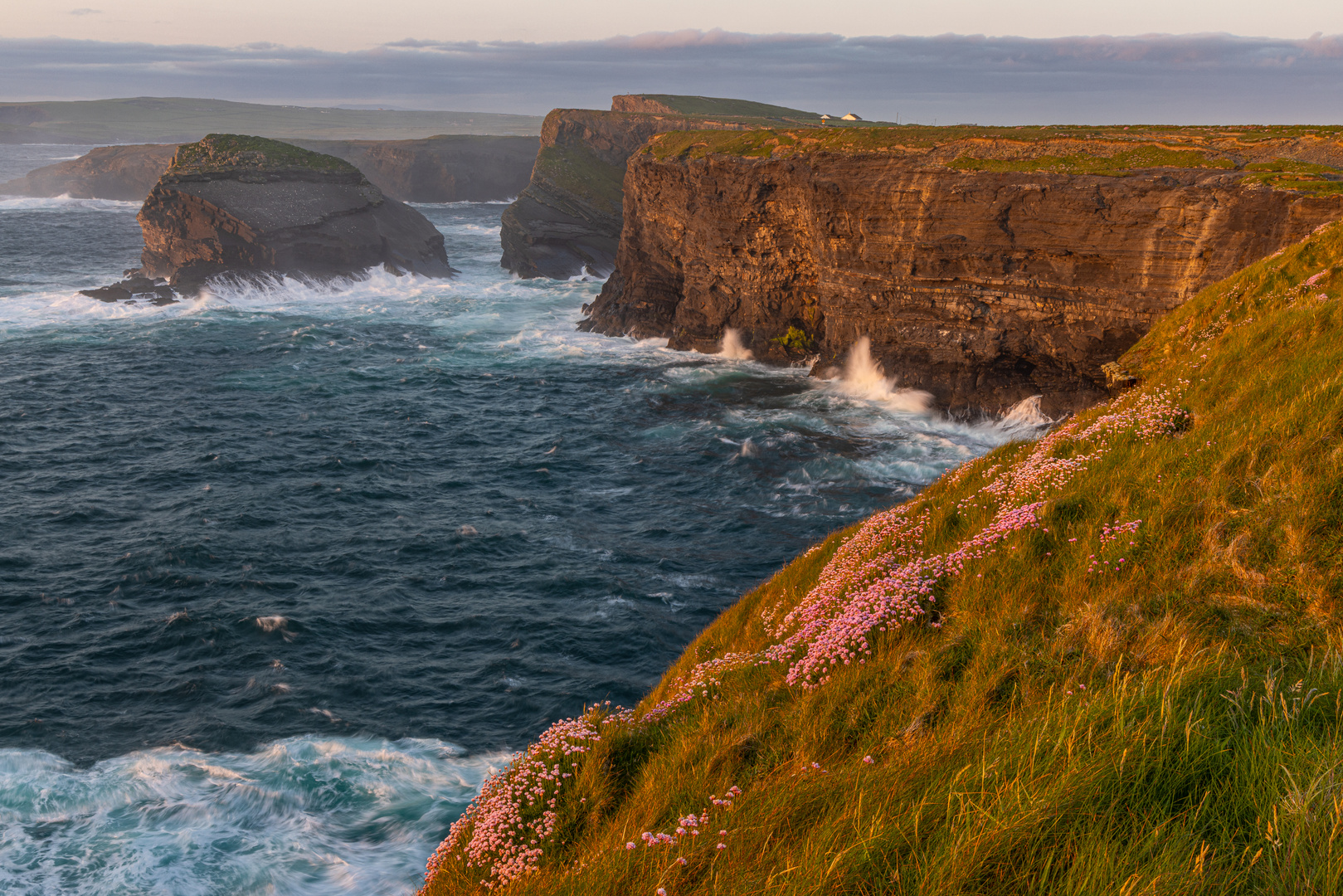 Cliffs of Kilkee