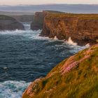 Cliffs of Kilkee