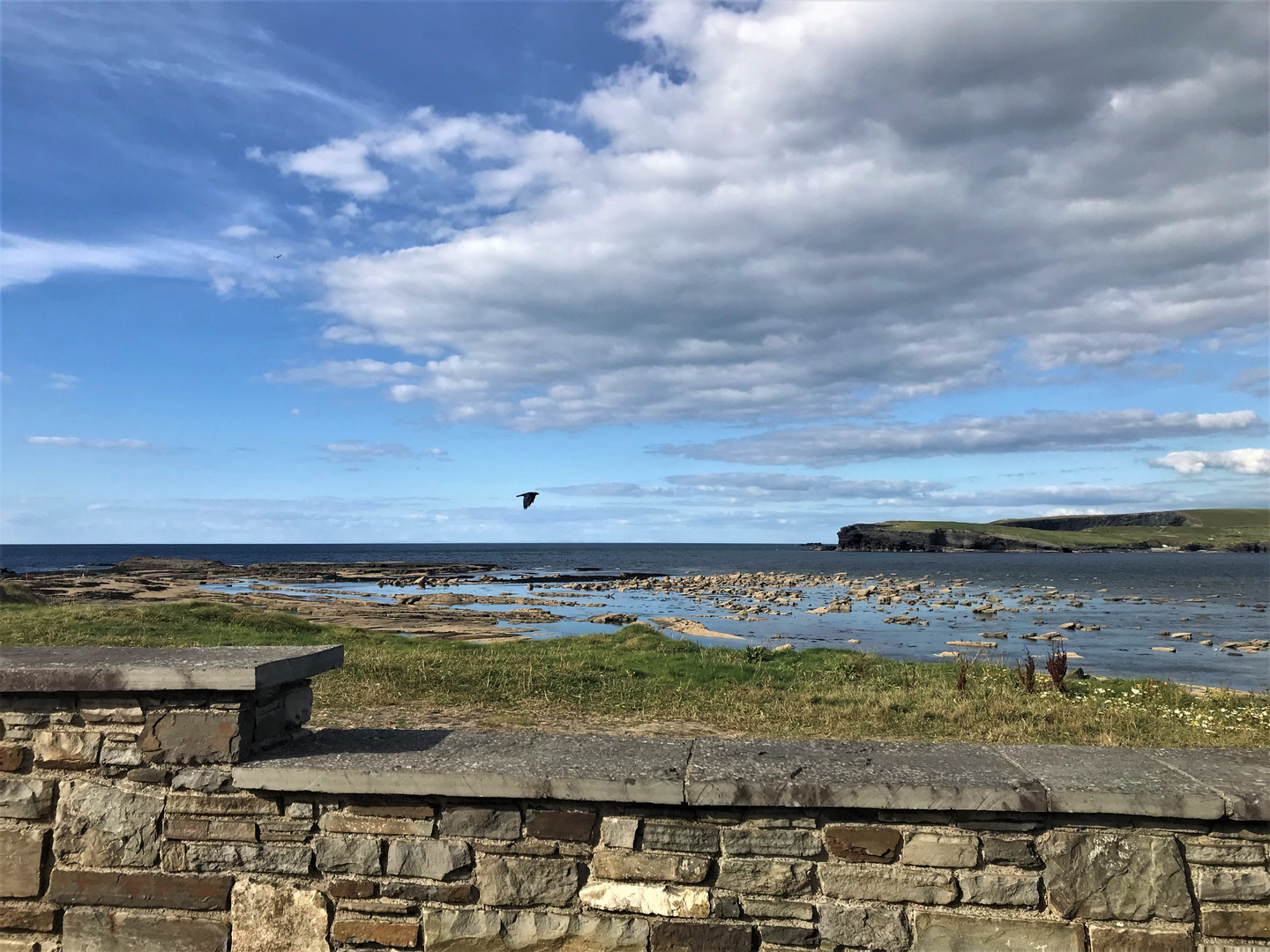 Cliffs of Kilkee III