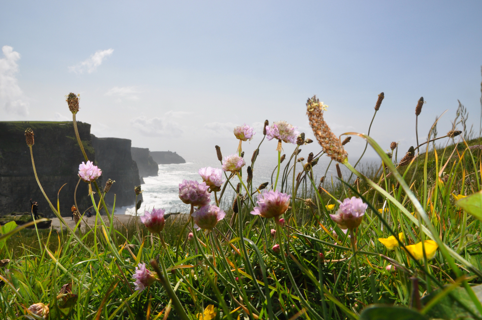 Cliffs of Moher - 05.2011 - H