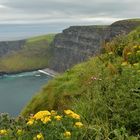 Cliffs of Moher