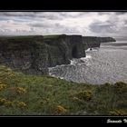 Cliffs of Moher 2