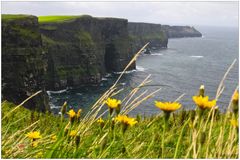 Cliffs of Moher 2