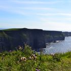 Cliffs of Moher