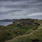 Cliffs of Moher