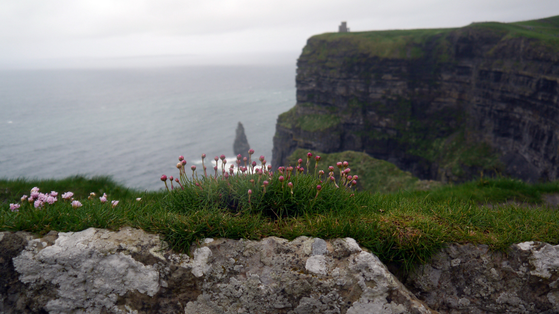 Cliffs of Moher 3