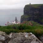 Cliffs of Moher 3