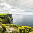 Cliffs of Moher