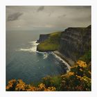  Cliffs of Moher