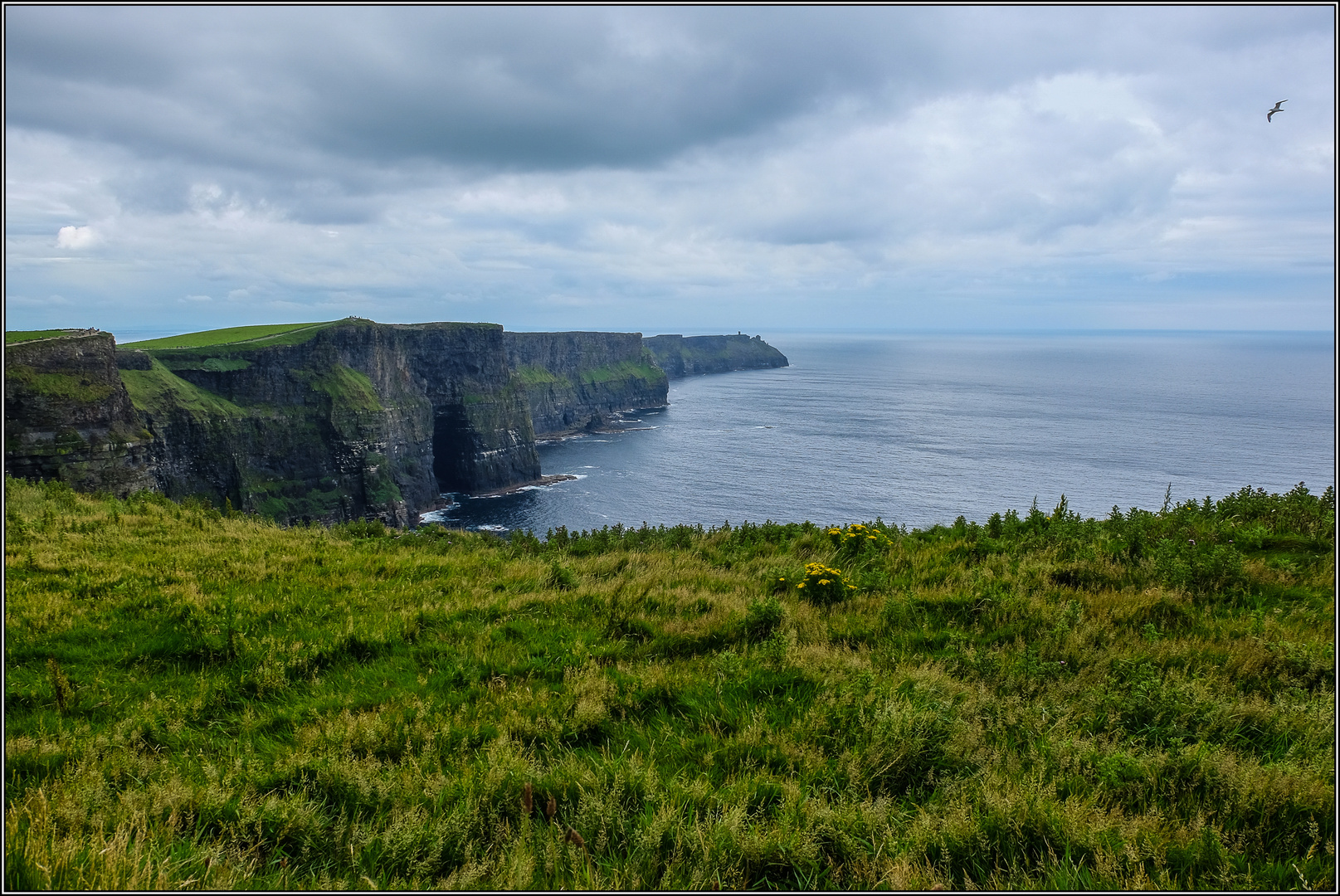 Cliffs of Moher 