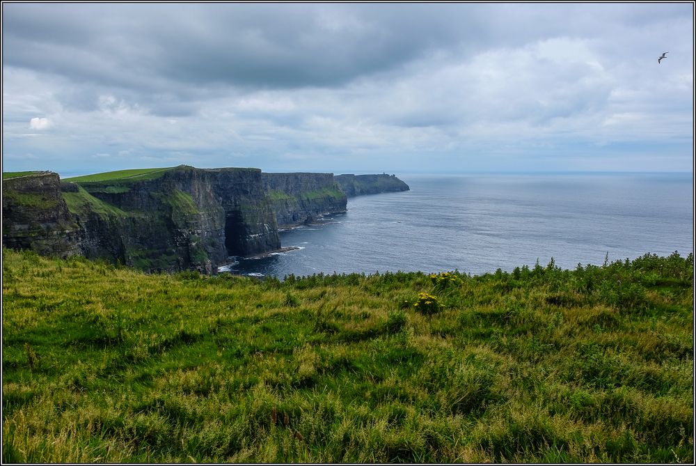 Cliffs of Moher 