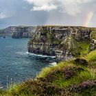 Cliffs of Moher