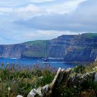 Cliffs of Moher