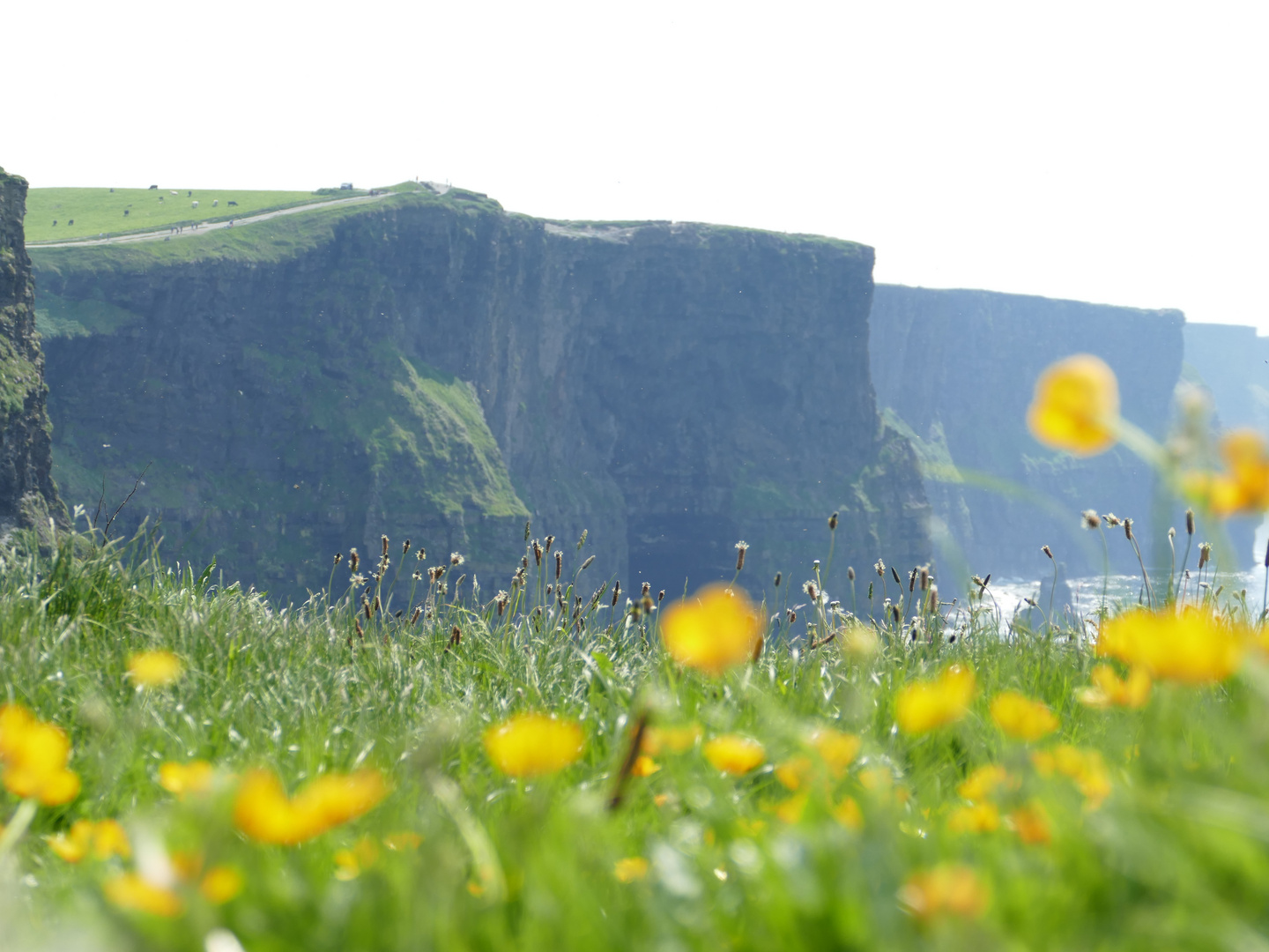 Cliffs of Moher