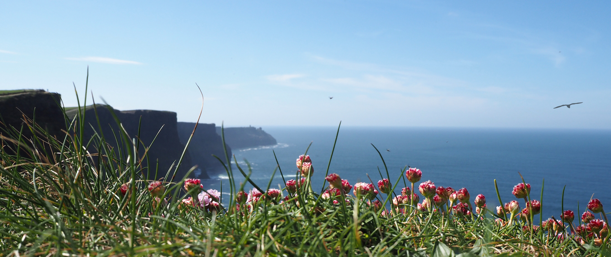 Cliffs of Moher